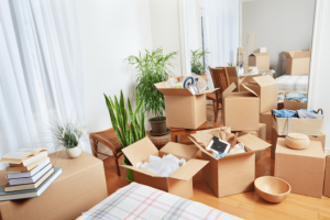 Hoarding is Like Running Shoes, Boxes in Room