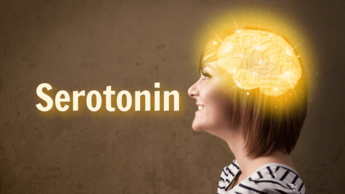Hoarding and Sunlight, Happy Woman's Brain, Serotonin